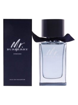 Mr Burberry EDT
